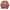 Acne Studios Casual Sweatshirt Wanita pink photo 1