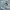 New Balance Casual Sneakers Wanita silver white photo 2