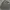 Stone Island Luxury Casual Suit Pria Black Gray