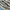 Nike Casual Sneakers Pria gray photo 2