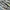 Nike Casual Sneakers Pria Gray