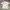Made In USA Casual Casual Shirt Pria White Gray