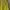 Vintage Casual Maxi skirt Wanita green yellow photo 3