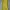 Vintage Casual Maxi Skirt Wanita Green Yellow