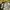 Vintage Casual Maxi skirt Wanita green yellow photo 5