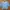 Casual Crop top Wanita blue photo 1
