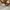 Salomon Gorpcore Parka Pria blue brown photo 5
