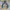 Salomon Gorpcore Parka Pria blue brown photo 1