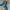 Salomon Gorpcore Parka Pria blue brown photo 2