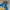 Salomon Gorpcore Parka Pria Blue Brown