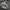 Casual Hoody Pria gray photo 4