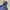 Columbia Gorpcore Windbreaker Pria navy photo 2
