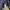 Columbia Gorpcore Windbreaker Pria navy photo 6