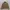 Carhartt Streetwear Harrington jacket Pria brown photo 5