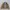 Carhartt Streetwear Harrington jacket Pria brown photo 2