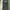 A Bathing Ape Streetwear Y2K Jeans Pria black photo 3