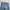 Levi's Y2K Casual Jeans Pria navy blue photo 6