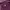 Russell Athletic Streetwear Y2K Hoody Pria Burgundy