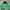 NEPA Y2K Gorpcore Puffer jacket Pria green black photo 1