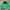 NEPA Y2K Gorpcore Puffer Jacket Pria Green Black