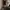 Y2K Fur coat Wanita multicolor photo 1