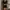 Y2K Fur Coat Wanita Multicolor
