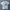 Stussy Streetwear Y2K T-shirt Pria white photo 1
