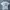 Stussy Streetwear Y2K T-shirt Pria White
