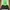 Nike Streetwear Sportswear Windbreaker Pria green black photo 1