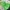 Nike Streetwear Sportswear Windbreaker Pria green black photo 8