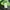 Nike Streetwear Sportswear Windbreaker Pria green black photo 6