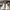 Bally Luxury Casual Sneakers Pria burgundy white photo 2