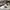 Bally Luxury Casual Sneakers Pria burgundy white photo 1