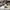 Bally Luxury Casual Sneakers Pria Burgundy White
