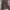 Streetwear Casual Tracksuit Pria multicolor photo 1