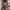 Y2K Mini skirt Wanita cream photo 1