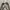 Millet Outerwear Kids cream photo 5