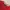 DogTown Vintage Y2K T-shirt Pria red photo 4