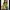 Pomelo Coquette Casual Pea coat Wanita green photo 3