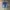 Levi's Vintage Y2K Jeans Pria blue photo 3