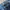 Levi's Vintage Y2K Jeans Pria blue photo 6