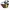 Crumpler Casual Bag Pria multicolor photo 1