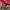 Puma Streetwear Casual Casual shoe Pria red photo 2