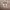 Puma Streetwear Casual Sneakers Wanita cream tan photo 4