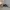 Vintage Casual Culotte Wanita white black photo 3
