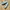 Adidas Casual Sneakers Pria multicolor blue photo 1
