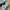 Adidas Casual Sneakers Pria multicolor blue photo 2