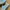 Adidas Casual Sneakers Pria Multicolor Blue