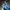 Adidas Casual Casual shoe Pria blue photo 1