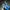 Adidas Luxury Sneakers Pria blue photo 1